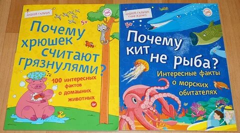100 детских почему