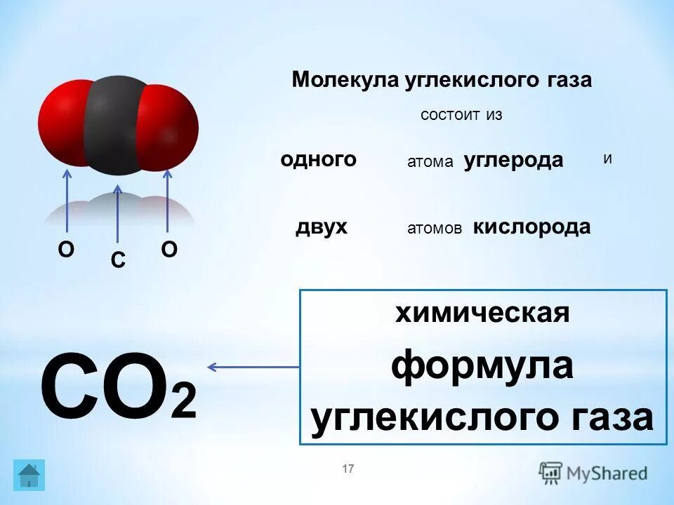 Молекула содержит два атома