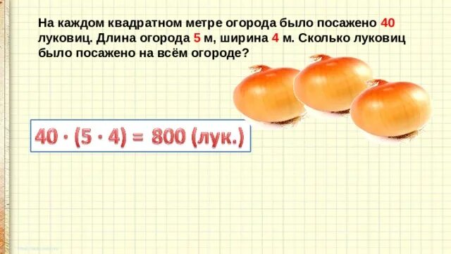 На 3 грядки посадили 27 луковиц тюльпанов. Метр в квадрате на Гряде. На каждом квадратном метре огорода. На каждом квадратном метре огорода было посажено 47 луковиц. Огород в длину.