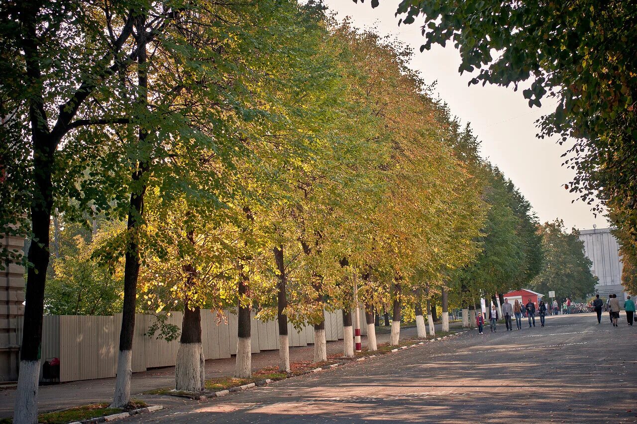 Город в конце октября. Янтарная осень калининград. Город в конце октября. Калининград осенью. Вологда осень.