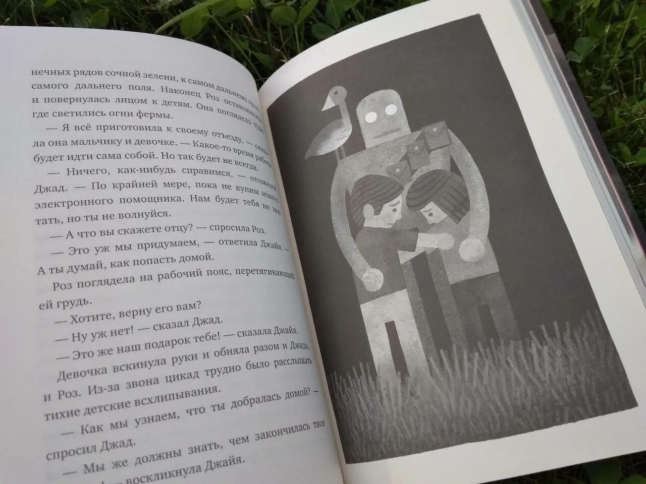 Дикий робот читать. Браун питер &quot;дикий робот&quot;. дикий робот питер браун книга. спасение дикого робота книга. три части книги дикий робот.