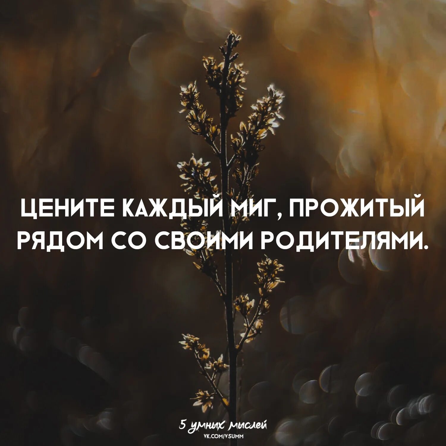Живу недалеко