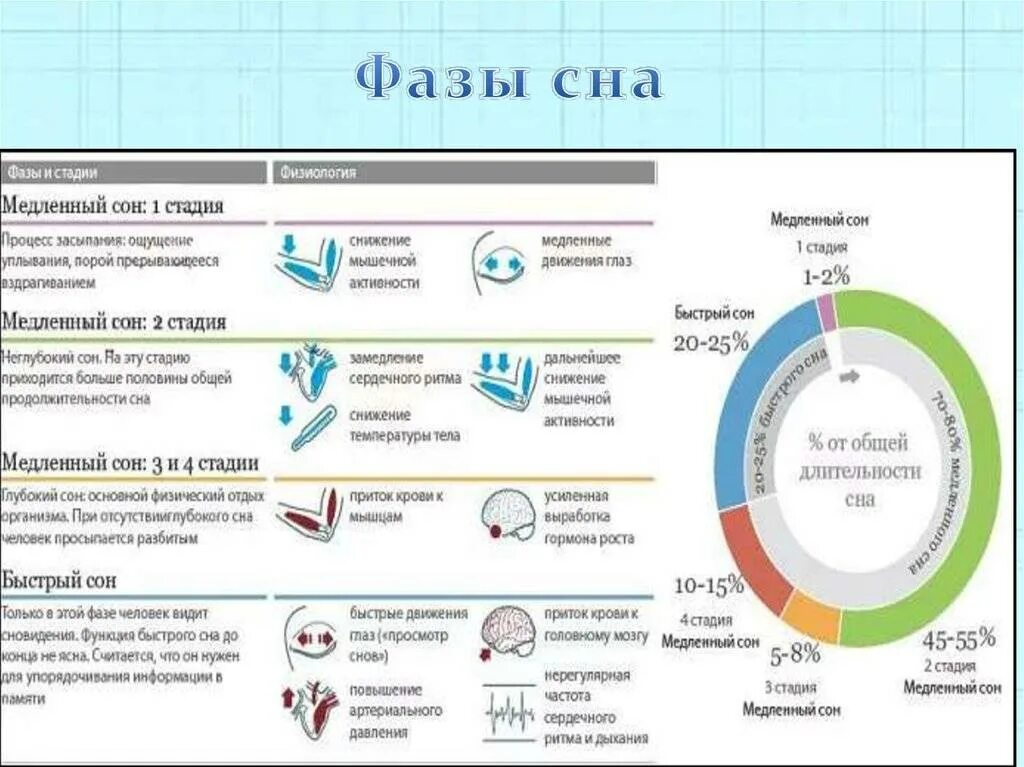 Как понять в какой фазе сна человек. Фазы сна быстрый и медленный сон таблица. Длительность фаз сна. Фазы сна и их Длительность. Сколько длится мгновение почему