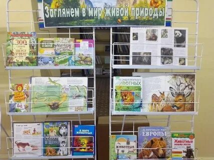 Выставка октябрь 2022