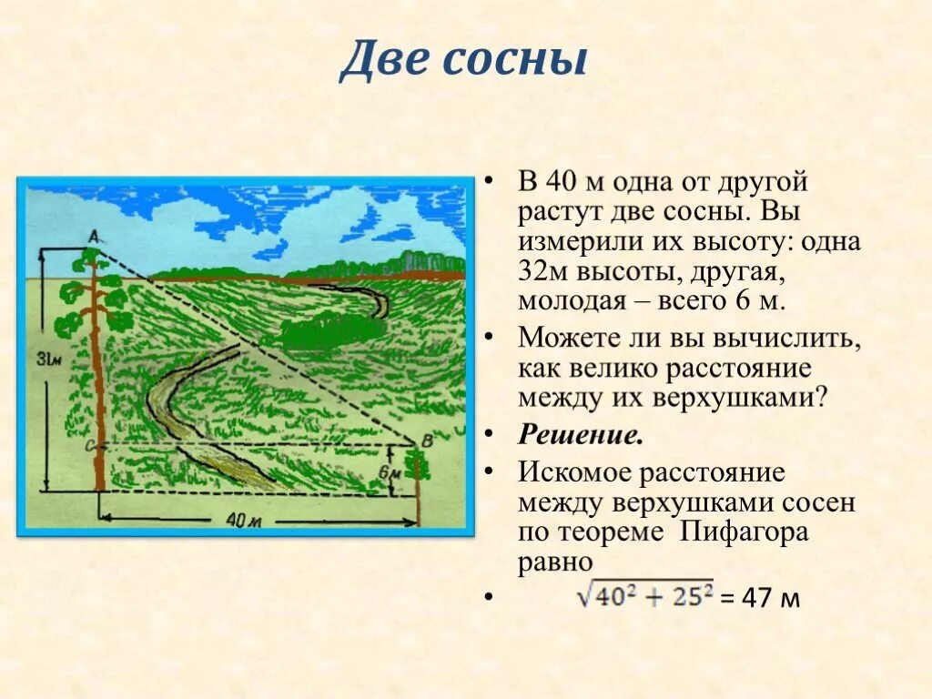 На рисунке 10 показано изменение высоты. В 32 М одна от другой растут две сосны высота одной 37 а другой 13. В 32 М одна от другой растут две сосны высота одной 37. Расстояние между соснами. Две сосны растут.