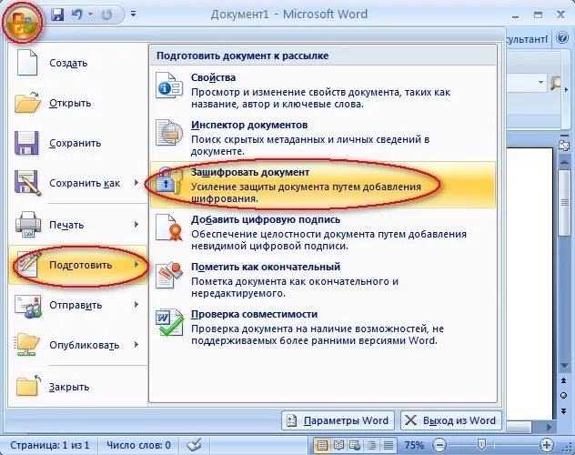 Защищенный файл word. Запаролить вордовский документ. Как зашифровать документ Word. Пароль на вордовский документ. Пароль Word 2007.