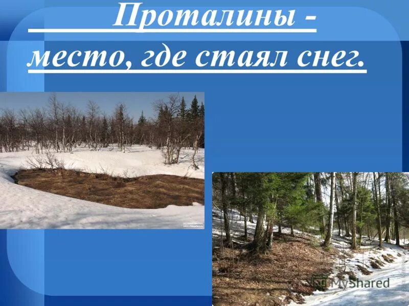 Видны проталины. Проталина. Снег стаял. Появляются проталины. Стих про проталины.