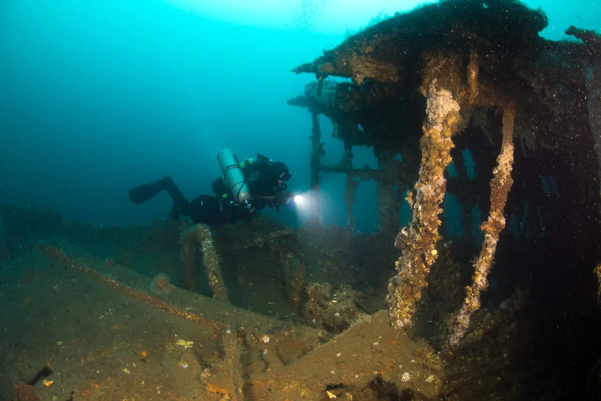 SS Thistlegorm затонувший британский корабль. Корабль Волга Дон Крым затонувший. Затонувшие корабли в Баренцевом море. Probitas затонувший корабль.