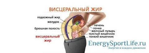 Как убрать подкожный жир