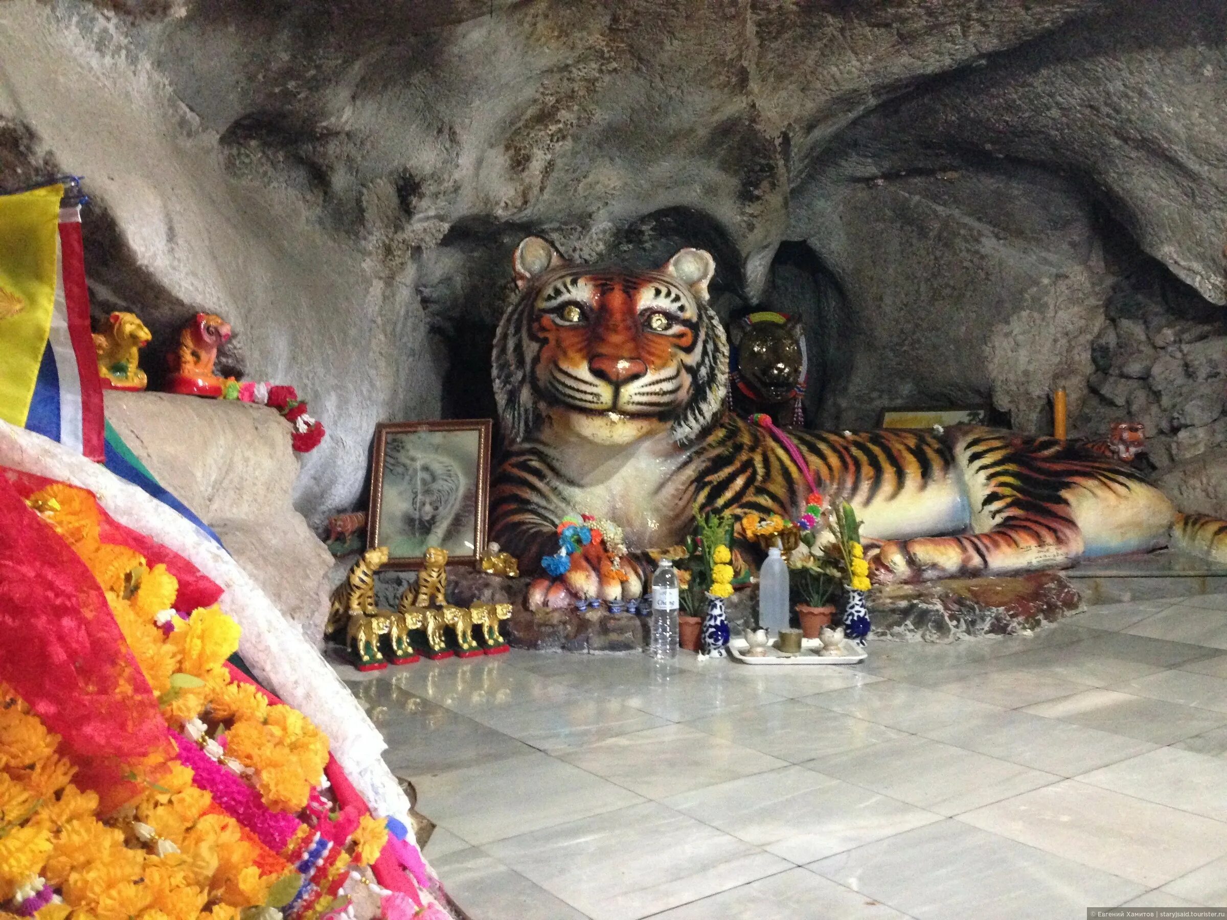 храм пещера тигра в краби, таиланд. тигр в пещере. пещера храма тигра таиланд. храм пещера тигра. пещерный храм ванарам.