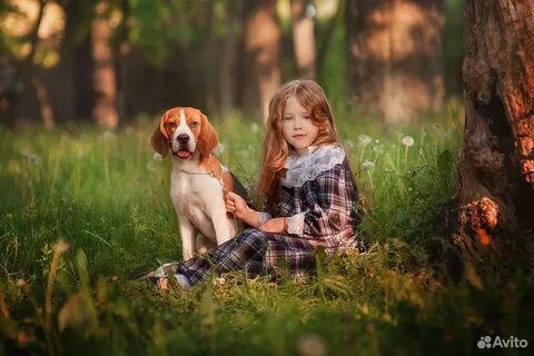 Dog and sarah