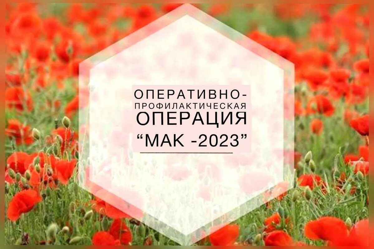 Оперативно профилактической операции мак. Мак 2025. оперативно-профилактической операции «мак-2025».. опм мак. операция мак 2025.