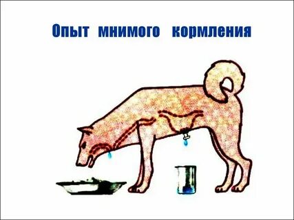 Мнимый вопрос это