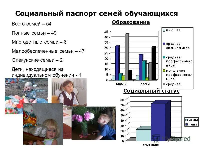 социальный статус семь. социальное положение семей детей. социальный статус работающего человека. социальный татус семьи. социальный статус мамы.