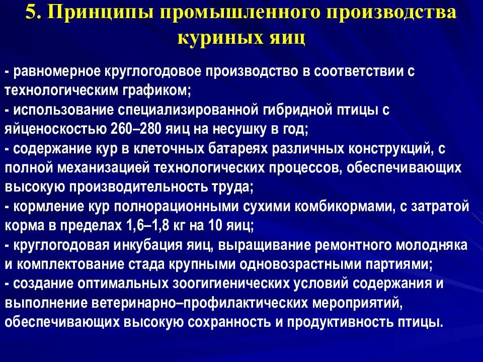 Проект технологической линии производства. Принцип промышленной разработки. Технологический процесс производства яиц. Технологический проект производства. Принцип промышленной разработки.