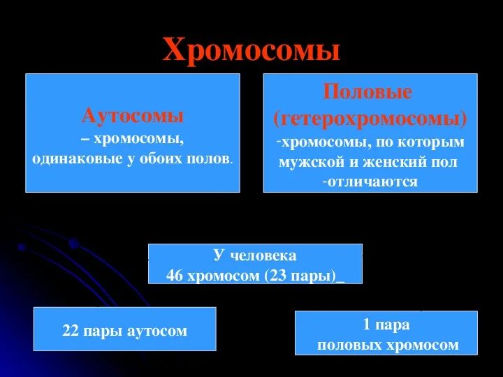 Хромосома определяющая пол человека. Аутосомы и половые хромосомы. половые хромосомы в половых клетках. половые хромосомы это в биологии. хромосомы человека аутосомы.
