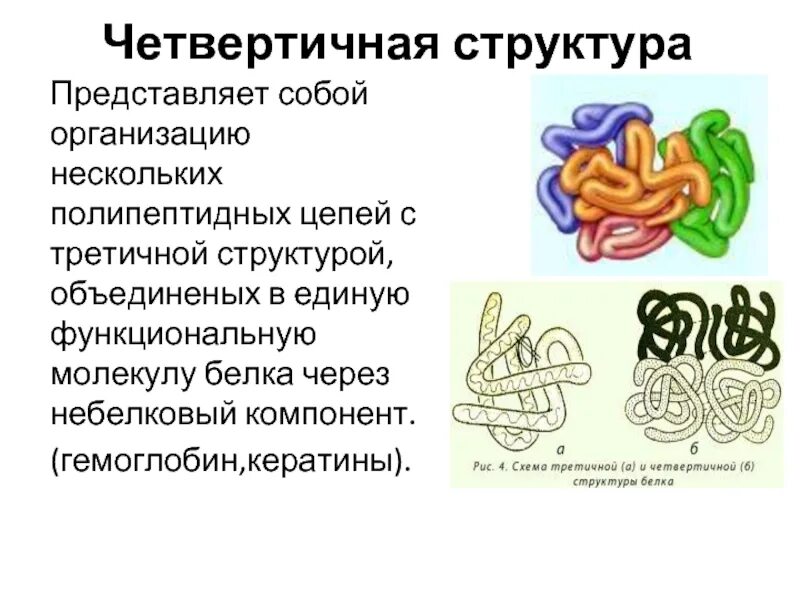 Спирализация белка. Связи в четвертичной структуре структуре белка. Название четвертичной структуры белка. Строение белков четвертичная структура. Четвертичная структура белка эта структура.