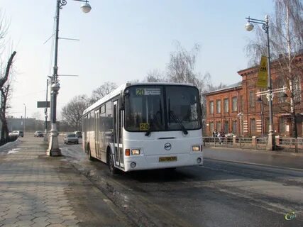 36 автобус тверь