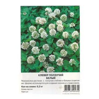 Клевер ползучий семена