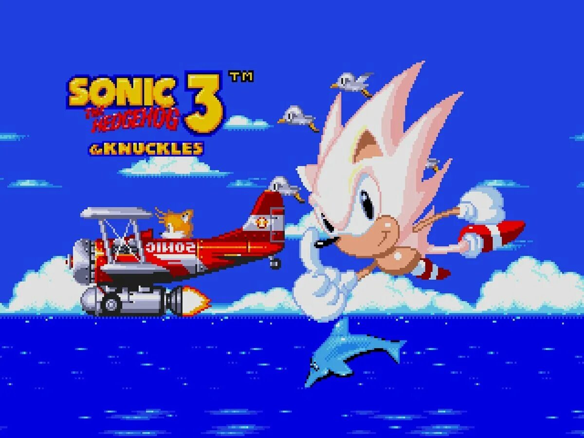 Sonic 3 air knuckles