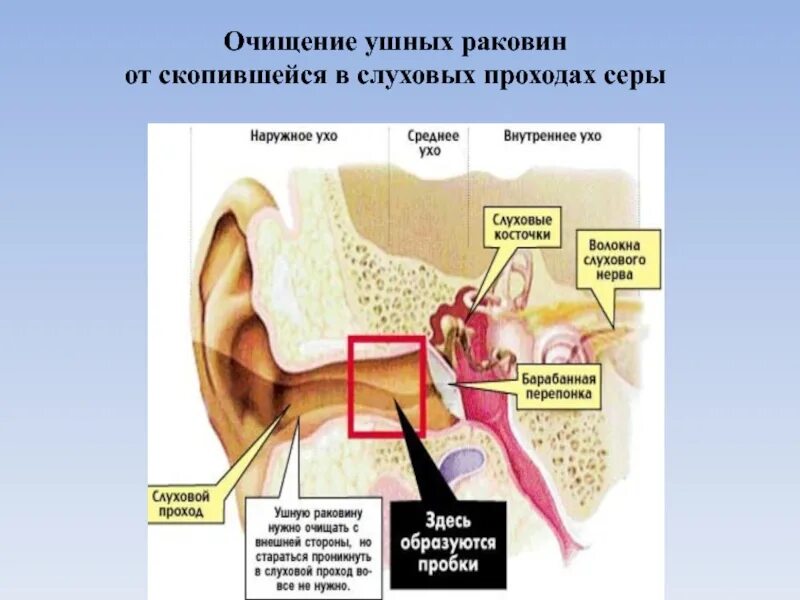 Почистить уши перекисью водорода в домашних