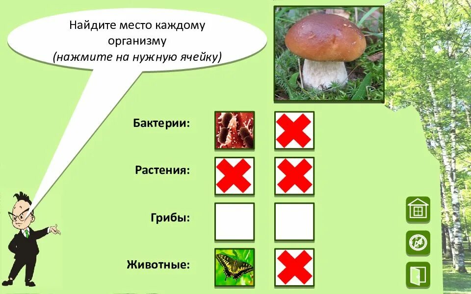 Грибы растения животные что лишнее. Растение гриб бактерия. Животные растения грибы. Грибы и бактерии. Бактерии грибы животные.