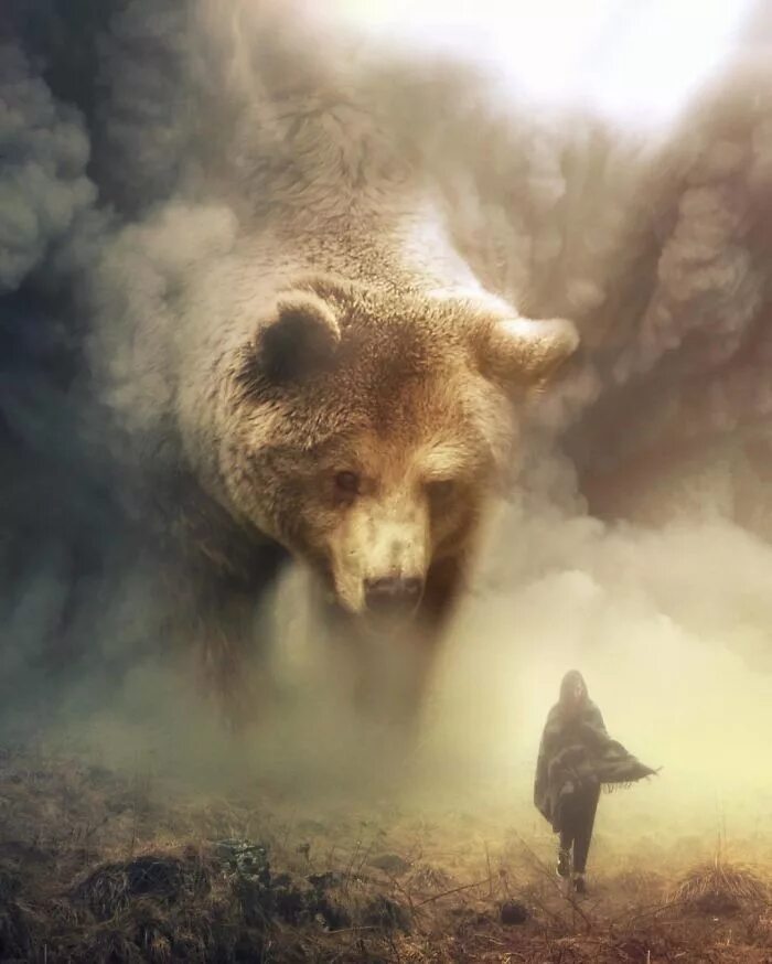 Дух медведя. Одинокий медведь. Сила медведя. Дух медведя арт.