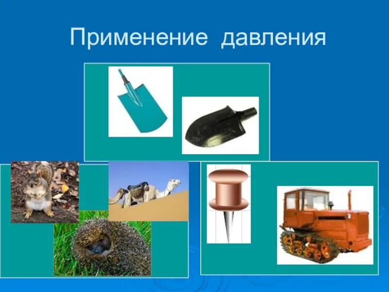 Проявление давления в природе. Применение давления твердых тел. Давление твердых тел в природе. Давление твердых тел 7 класс физика. Давление твёрдых тел в быту, природе и технике.