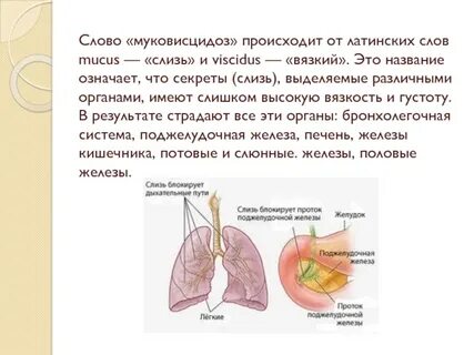 Муковисцидоз у взрослых