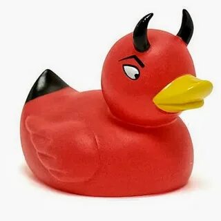 Fluffing duck