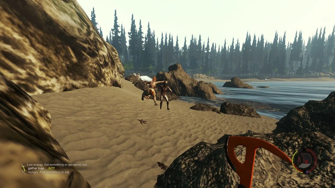 Как поиграть в зе форест на пиратке. Forest игра. форест 1. the forest пляж. консоль the forest.