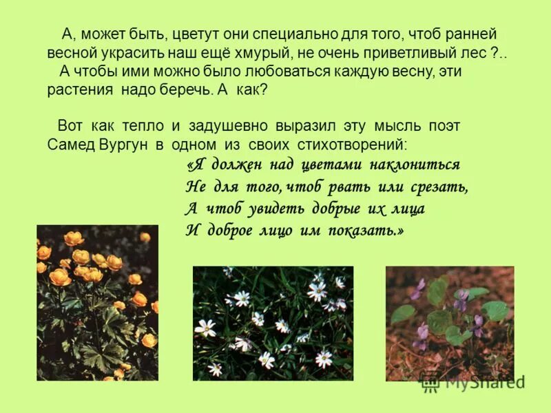 Не то чтобы для них цветы. Не то чтобы для них цветы