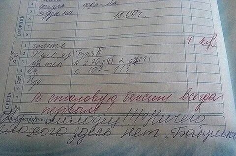 Учитель пишет в дневник