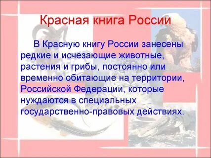 Человек в красной книге