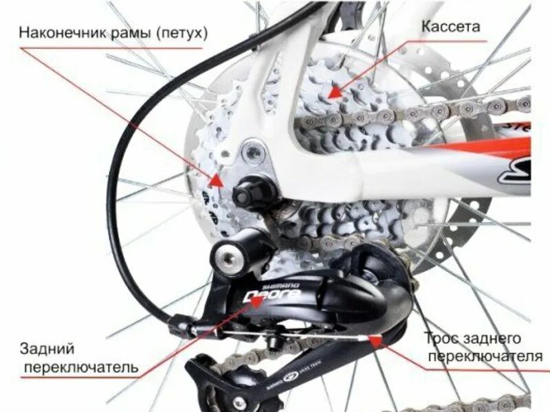 Как называется цепь на велосипеде. Велосипедный переключатель скоростей stels. Установка заднего колеса на скоростной велосипед схема. Механизм скоростного велосипеда стелс. Заднее колесо на велосипед стелс скоростной.