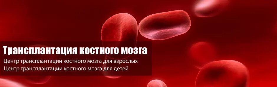 Трансплантация костного мозга. Трансплантация красного костного мозга. Трансплантация кроветворных стволовых клеток. Пересадка костного мозга москва