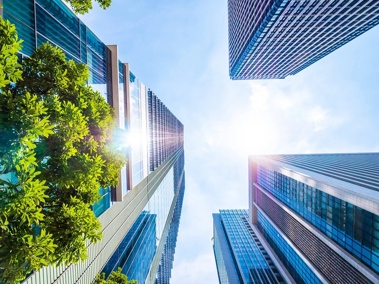 Building and environment