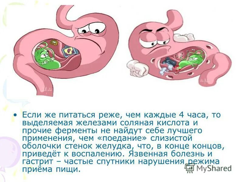 Правило гигиены питания. Гигиена пищеварения 9 класс. Памятки о регуляции пищеварения и гигиены питания. Гигиена пищеварения 9 класс. Гигиена пищеварительной системы кратко.