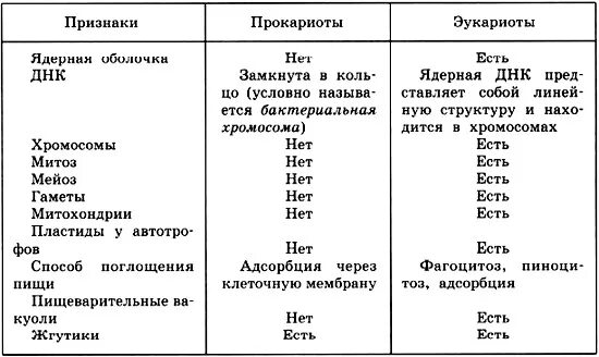 Размеры прокариот