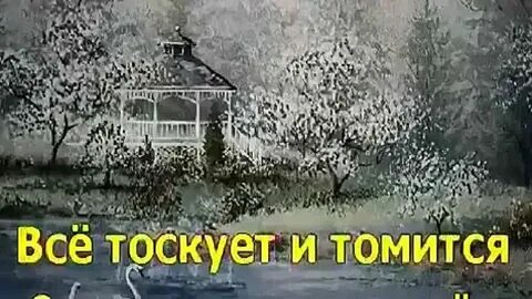 Караоке березовая роща