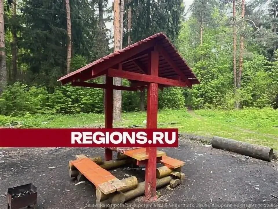 Где можно жарить шашлыки в балашихе. Где можно жарить шашлыки в балашихе. Парк сокольники шашлычная зона. Зона барбекю в подмосковье. Где можно жарить шашлыки в балашихе.