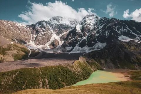 Донгуз кель