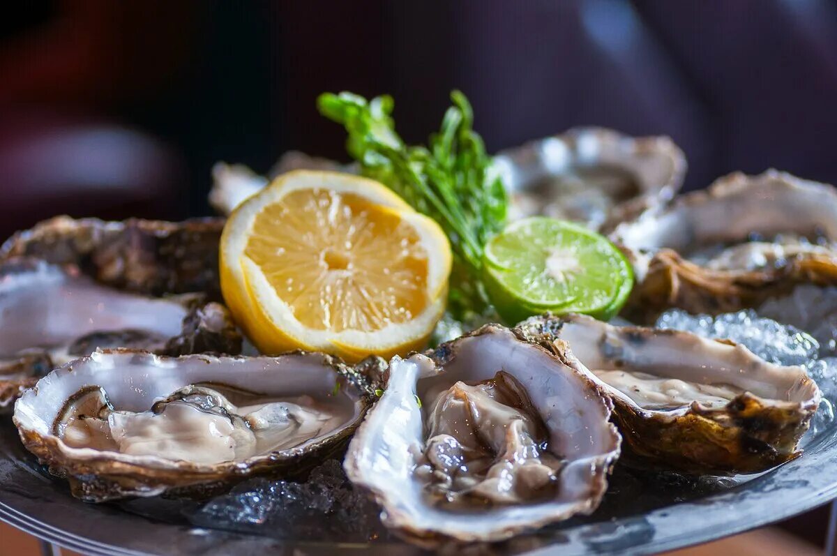 Устрицы едят живыми. Устрицы Ямато. Уалидия Марокко устрицы. Oysters устрицы. Аркашон устрицы.