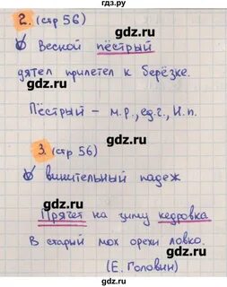 Русский язык 3 класс тетрадь стр 56