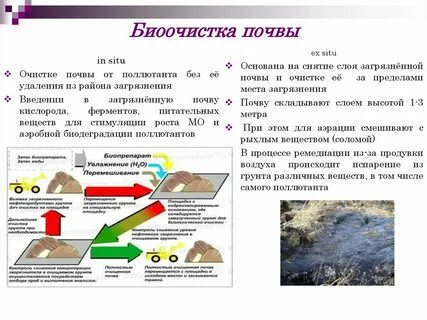 Способы очистки почвы
