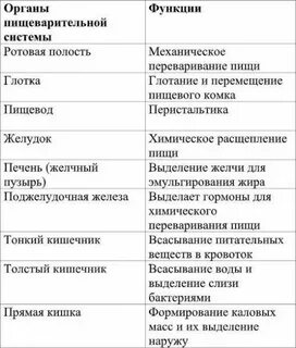 Особенности пищеварительной системы таблица