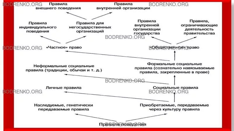 Норма поведения делятся на. Норма поведения делятся на
