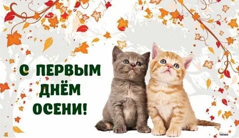 Друзья с первым днем