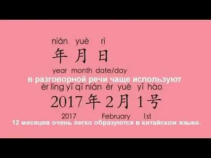 Шпица учит китайский язык