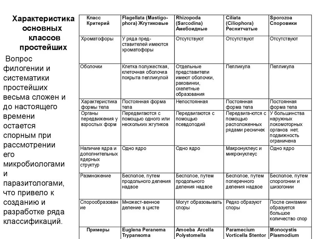 Сравнительная характеристика основных классов простейших. Класс Споровики. Общая характеристика класса. Сравнительная характеристика основных классов простейших таблица. Общая характеристика простейших 7 класс биология таблица. 7 групп простейших